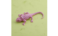 Realistic Reptile Figurine Educational Model Toy Science Education Reptile Figure for Kids, Classroom, School