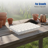 Mini Plastic Square Pot, Sprout Tray, Thumb Base Control, Lithops Nursery, Home Gardening