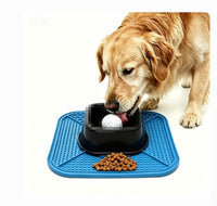 Anti-Slip Slow Feeder Bowl for Pets