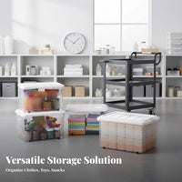Clear Wheeled Container with Lid Thickened Construction for Under Bed, Families