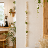 Macrame Plant Hanger, Handwoven Hanging Planters for Indoor Plants, Boho Design Rope Plant Hanger 55-80cm for Living Room Decor