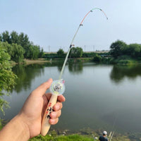 fishing rod