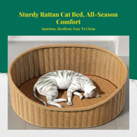 Woven cat bed with removable cushion