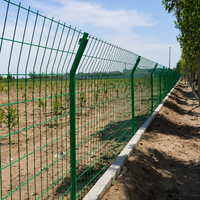 Double Wire Mesh 4.5mm Galvanized Low Carbon Steel Fence 3m Green Highway Falling Object Prevention Fence