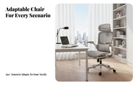 Highspine-Support Ergonomic Chair Adjustable Support Highspine-Support Mesh Chair with Headrest Reclining Spinerest Continuous