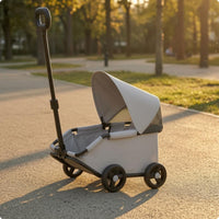 Foldable Pet Stroller Canopy Transport Body