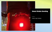 Smart brake tail light, USB charge