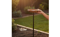 Bird Bath and Feeder 2-in-1 Designed for the Garden Bird Bath Feeder Easy to Install for Courtyard
