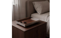 Tray with Wood Interior Polished Stainless Steel Tray Modern for Coffee Table