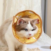 Padded Cat Cone and Dog Cone with Cartoon Pattern, Nylon Material Padded Cone for Kitten, Stop Licking for Post-Surgery Pet Recovery Care