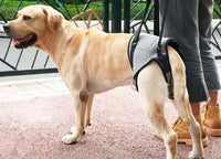 Pet Dog Rear Leg Support Harness for Injured or Elderly Dogs