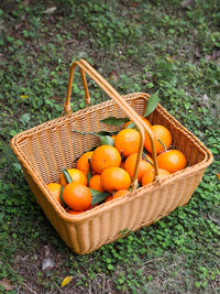 Woven Rattan-Style Handled Basket for Outdoor Storage, Fruit, Vegetables, Picnic, and Shopping