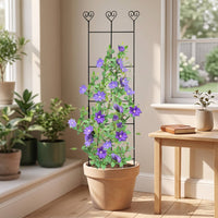 Garden Trellis with Heart Tops Decorative Climbing Plant Trellis Metal