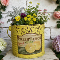 Iron Blossom Pail Decorative Print Rustic Floral Bucket Indoor Outdoor Use Vintage Tin Planter for Balcony