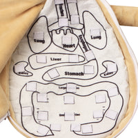 Children's Human Body Organs Plush Puzzle Early Education Toy
