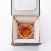 Glass Gong Dao Bei Set, Japanese Style Minimalist
