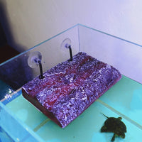 Large Square Turtle Basking Perch, Floating Climbing Ramp for Aquatic Reptiles, Realistic Suction Cup Aquarium Accessory
