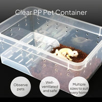 Transparent Amphibian Breeding Box with Ventilated Lid