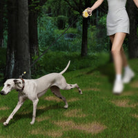 Automatic Retractable Dog Leash Strong Nylon Tape Automatic Dog Leash