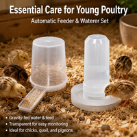 350ml Chick Feeder and Waterer Set Chicken Feeder and Water Dispenser, 13cm Chicken Feeders and Drinkers for Brooding Chicks