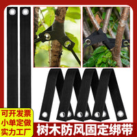 Tree Windproof Straps for Securing Plants, Ecological Protection