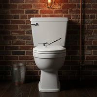 Trip Lever Gold Toilet Trip Lever Rust Resistant Polished Gold Flush Handle