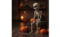 Hanging Skeleton Portable Skeleton with Movable Joints Durable