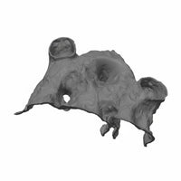 Breeding Cave House Hiding Refuge Pet Decor Stackable