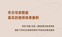 家用烧木柴铸铁真火壁炉农村冬天民宿别墅客厅室内取暖炉烧柴火炉