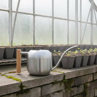 Stainless Steel Watering Can Modern Watering Can with Wooden Handle Silver Vessel for Plant Lovers, Gardeners, Indoor Plants, Potted Flowers, Office