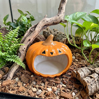 Ceramic Pumpkin Hideout Reptile Hide, Crested Gecko Tank Accessories for Small Pets, Glazed Small Animal Habitat Decor