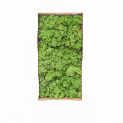 artificial Foliage Easy to Use Decorative Spreading Ground Cover-Maintenance Plants for Crafters, Florists, Home Decor, Terrariums