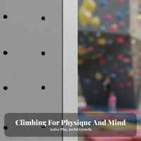 Fiberglass Climbing Panel Outdoor Use Rock Climbing Wall Panel Sturdy and Sturdy for Climbers, Beginners, Playgrounds, Play Area, Amusement Parks
