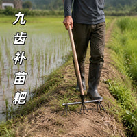 水稻补苗神器新款秧苗神器锰钢材质加厚免弯腰水稻移苗神器多齿耙