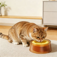Non-Spill Pet Water Bowl Transparent Floating Disk Bowl Splash Proof