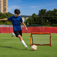 soccer goal