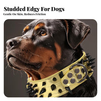 Studded Dog Heavy Duty Large Breed Dog Rustproof Hardware Pet Supplies for Hunters, Daily Wear, Outdoor Walks, Training