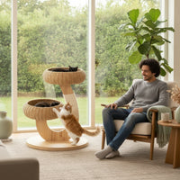 Wooden Pet Perch System with Rattan Perch Compact Space-Saving Feline Furniture for Cats, Kittens, Living Room
