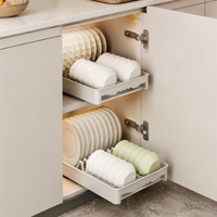Dish Drying Rack, Cabinet Storage, Extendable, Drawer-Type, Warm White, Fits 10 Plates & 10 Bowls