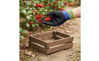 Anti Slip Durian Gloves Ergonomic Fit Puncture Resistant Gloves for Fruit Picking, Gardening