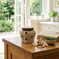 Ventilated Garlic Jar Matte Ceramic Garlic Jar Faceted