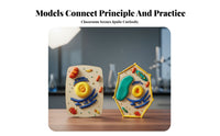 Hands-on Learning DIY Cell Model Kit STEM Toy Creature and Plant Cell Model Promotes Creativity for Students, Teens, Classroom
