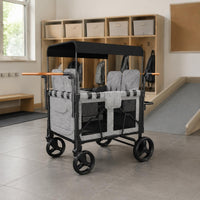 Push Wagon Push Wagon Padded Seats Child Weather Hood Infant Gear