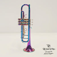 Brass Trumpet with Gold-Plated Finish, Three Valves, Double Pillar