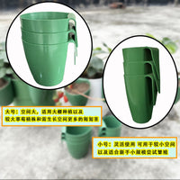 种植盆栽莓育苗莓盒器繁殖根茎杯可匍匐茎移栽生根生根花盆落地式