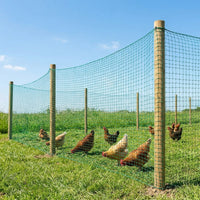 Poultry Netting 50m, Backyard Chicken Netting with 3cm Mesh, Flexible 18-Strand Green Netting with Fasteners for Hobby Farms