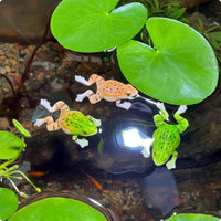 Resin Frog Statue Realistic Outdoor Decor Cute for Terrarium, Aquarium Hobbyists