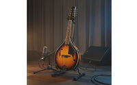 8-String Mandolin 8 String Mandolin Lightweight Body Plucked Instrument for Beginners