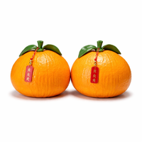 Living Room Decor Hand Painted Ceramic Orange Figurines for Good Fortune, Chinese Style Fruit Ornament Pair for Housewarming Gift