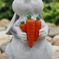 Rabbit Carrot Statue LED Light Solar Rabbit Statue Warm Radiance for Garden